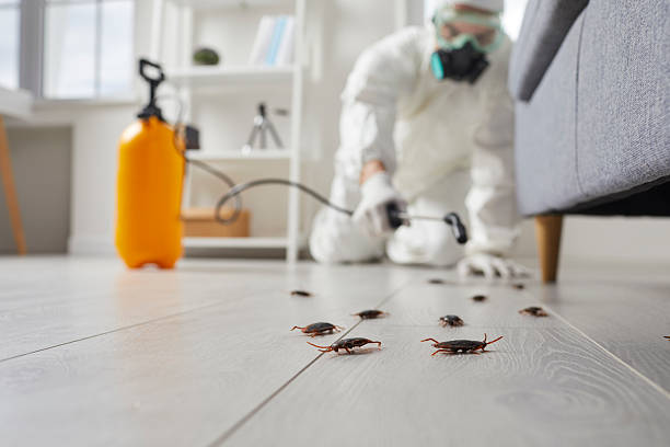 Commercial Kitchen Cockroach Control in Piqua